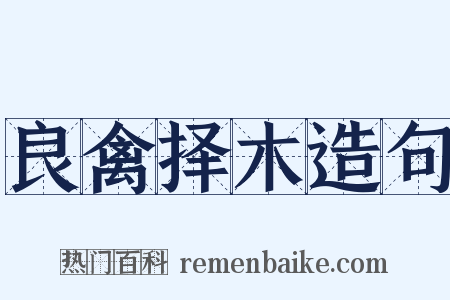 良禽择木造句是什么意思的图片